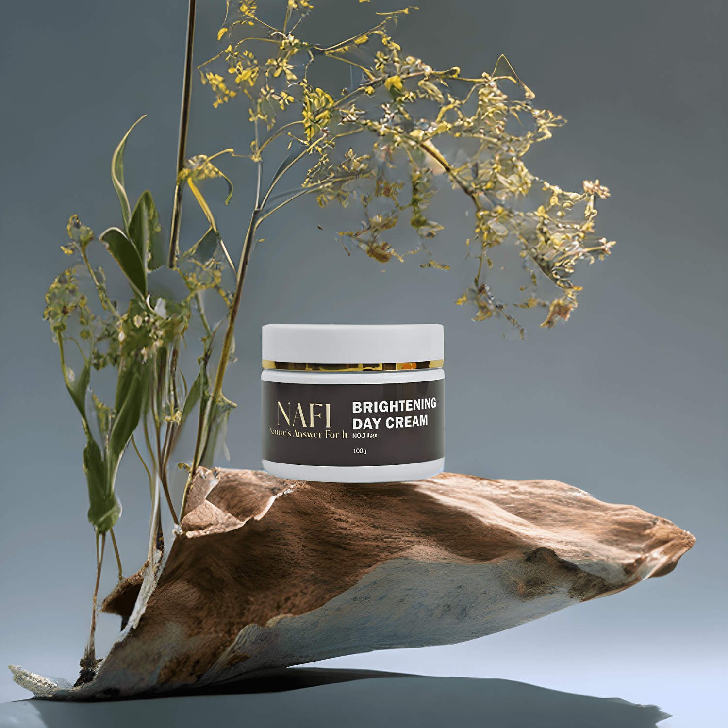 Brightening Day Cream for Glowing Even Skin Tone | Getnafi